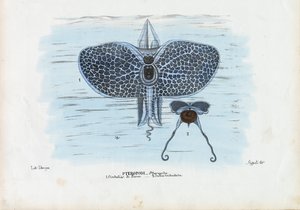 Sea Butterflies by Raimundo Petraroja